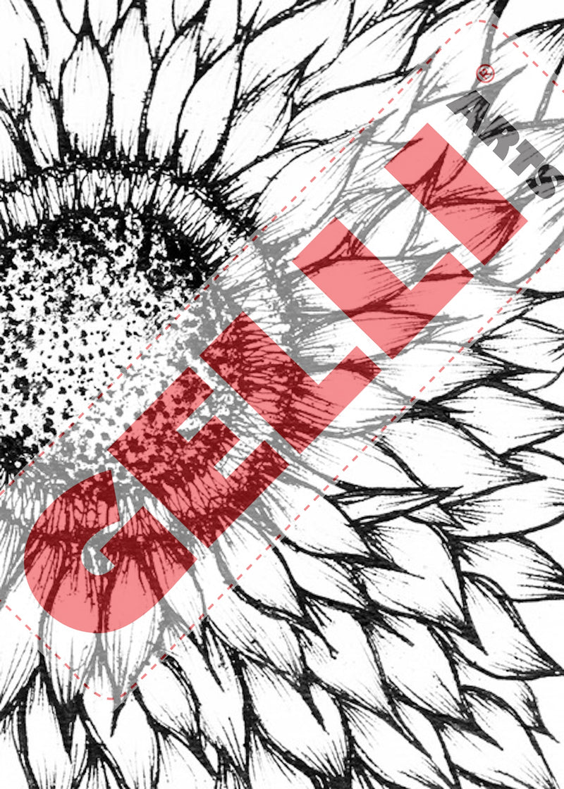 IT'S NEW!!!!  IMAGE TRANSFER PRINTABLES PACK - WILDFLOWERS