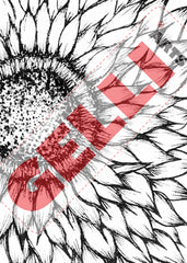 IT'S NEW!!!!  IMAGE TRANSFER PRINTABLES PACK - WILDFLOWERS