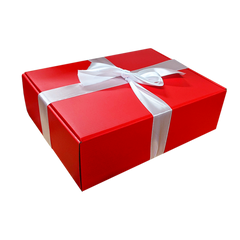 Holiday Gift Set 8x10